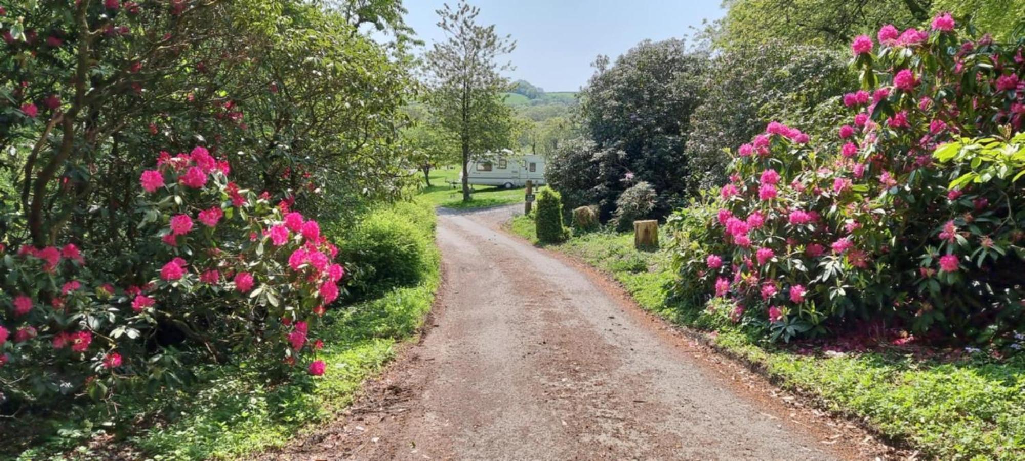 ליסקירד Great Trethew Manor Hotel & Self Catering Lodges מראה חיצוני תמונה