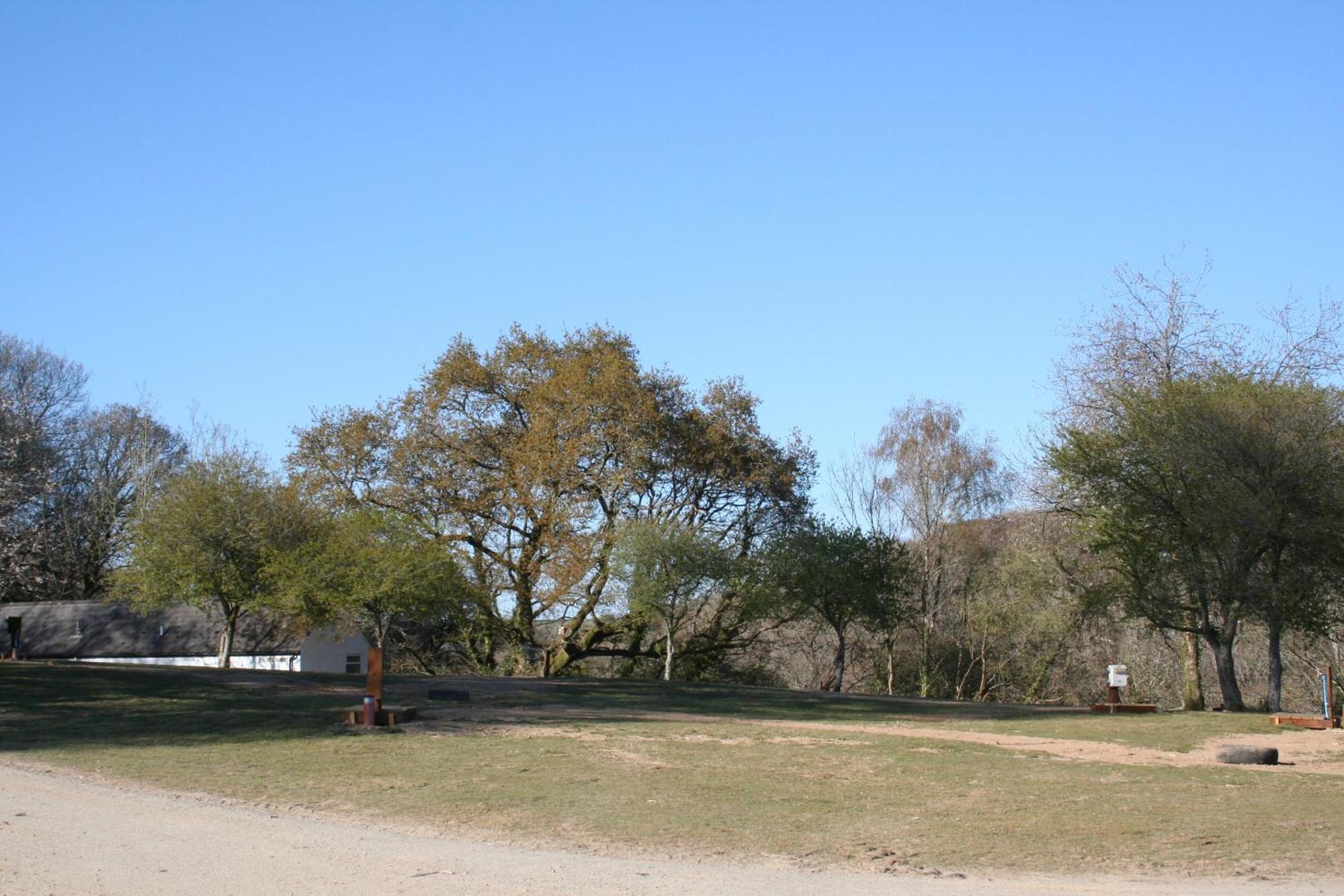 ליסקירד Great Trethew Manor Hotel & Self Catering Lodges מראה חיצוני תמונה